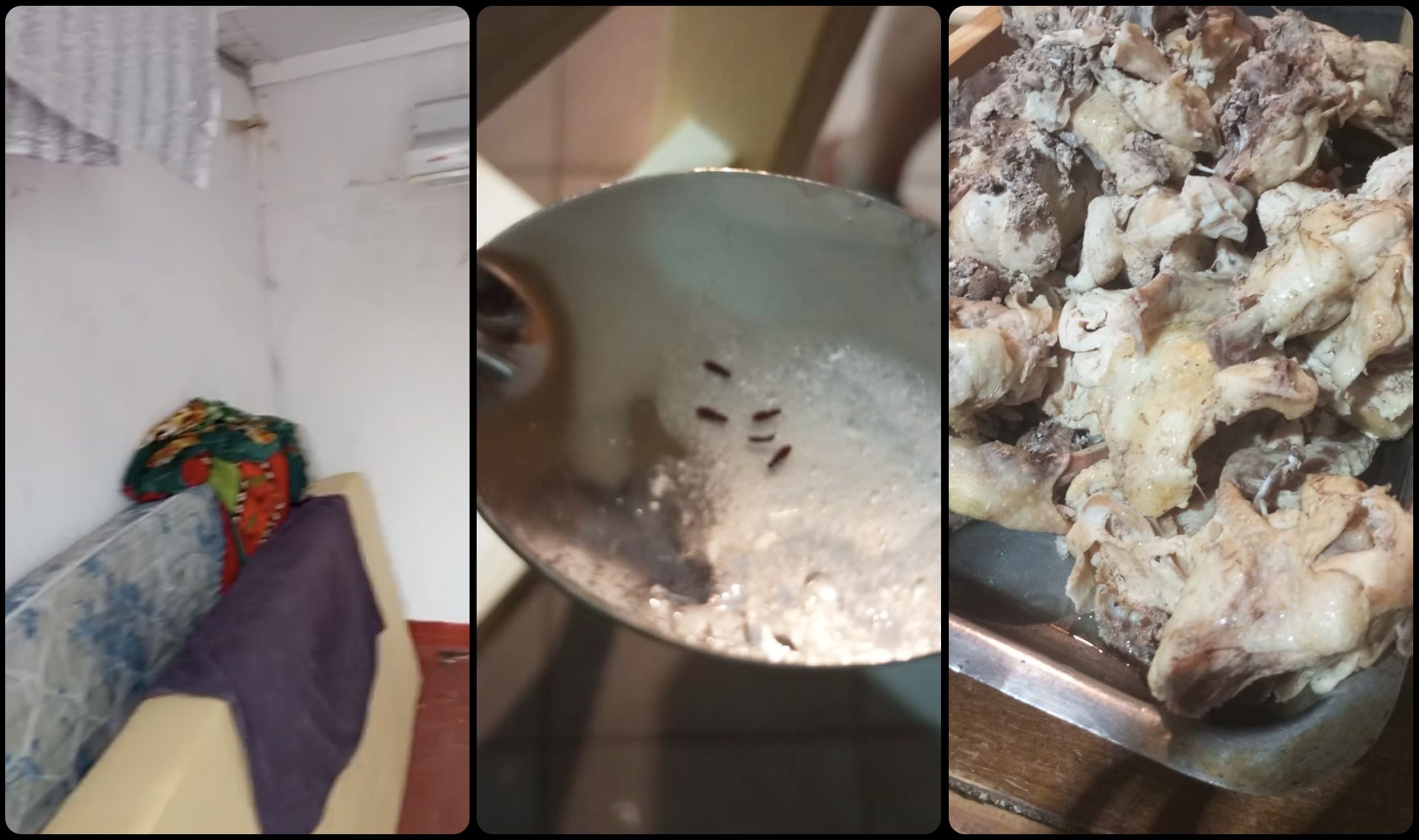 阿根廷足球青训阴影:梦想工厂背后的残酷体系